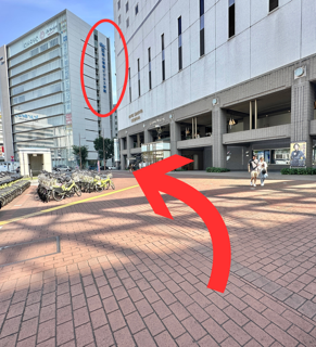 岡山情報ビジネス学院方向へ向かう歩道